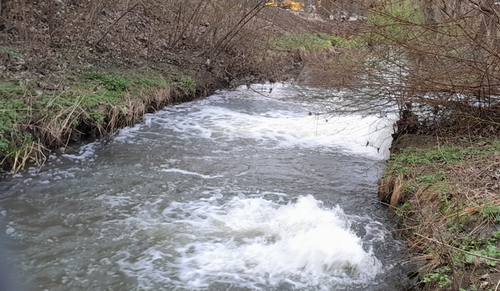 Die "Scharte" des Gießener Magistrats